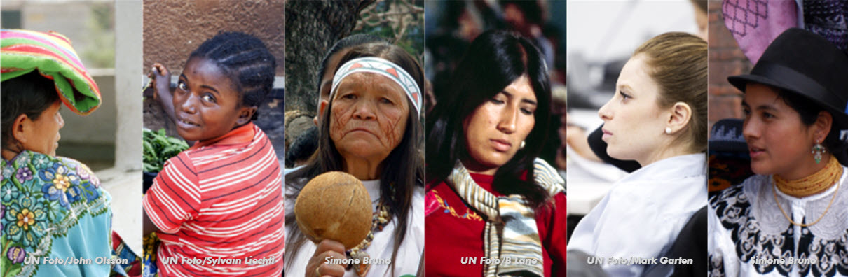 Modelo de protocolo latinoamericano de investigación de las muertes violentas de mujeres por razones de género(femicidio/feminicidio)