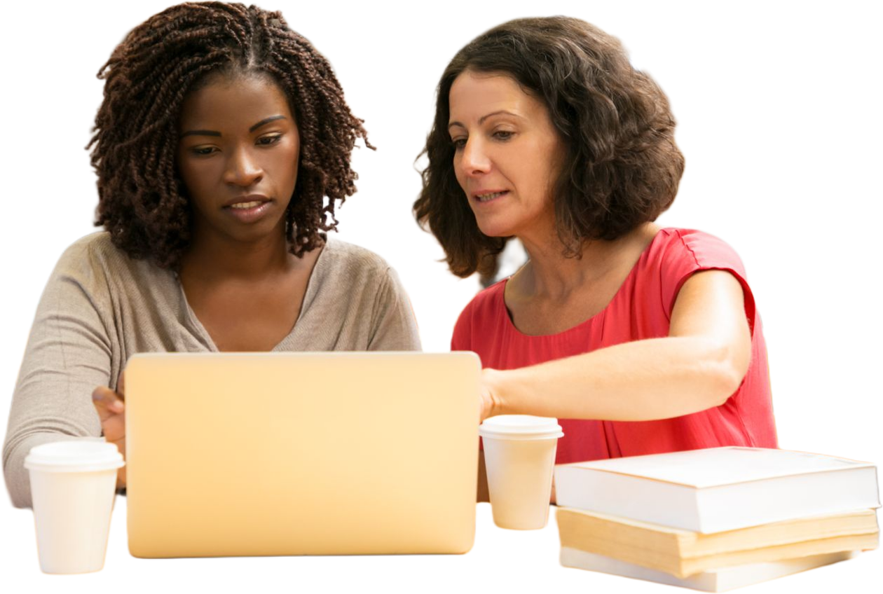 We Have All Kinds Of <span>Courses</span> Collection